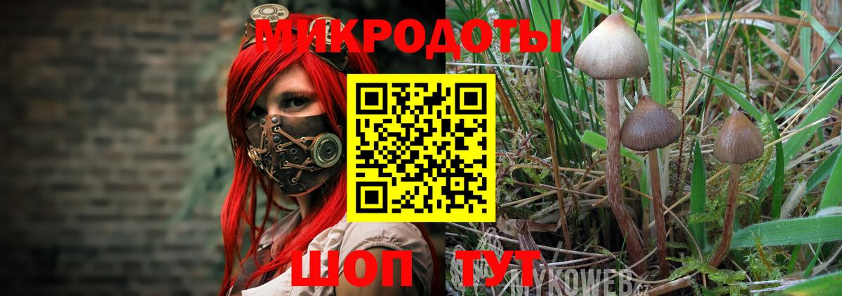 Псилоцибиновые грибы мухоморы  Псилоцибиновые грибы ЛСД  Махачкала  Вход с VPN 
